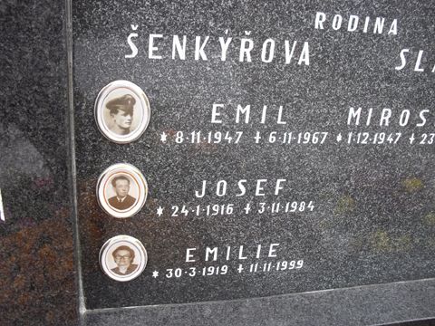 Foto 6